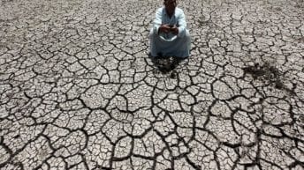 أزمة نقص المياه تهدد المحاصيل الزراعية في مصر