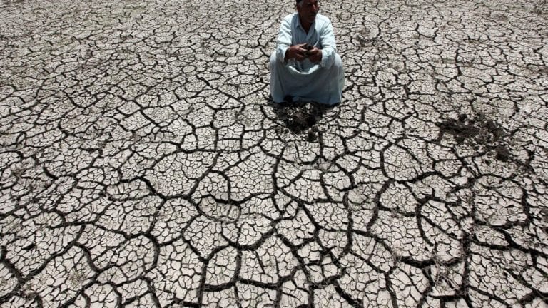 أزمة نقص المياه تهدد المحاصيل الزراعية في مصر