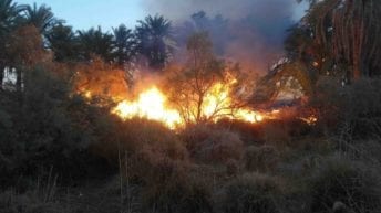 الحرائق تلتهم المزارع في الوادي الجديد