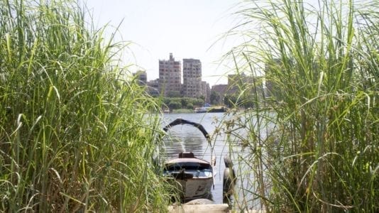 جزيرة الوراق