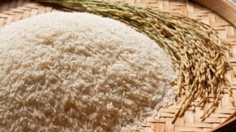 ارتفاع أسعار الأرز في مصر