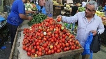الخضراوات والفاكهة في مصر