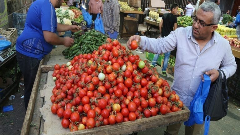 الخضراوات والفاكهة في مصر