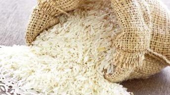 يصل خلال شهرين.. "التموين" تتعاقد على 47 ألف طن أرز صيني