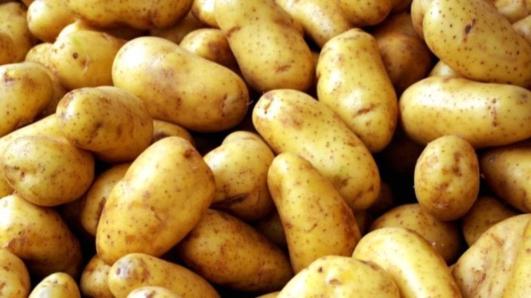 تحذير برلماني من أزمة جديدة في محصول البطاطس