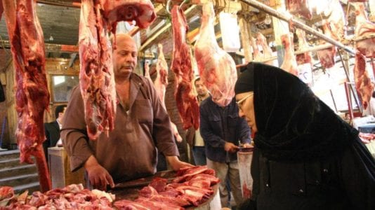 الحكومة توضح حقيقة استيراد لحوم فاسدة وعدس مسرطن
