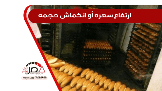زيادة 500 جنيه في الدقيق السياحي.. ما الذي ينتظر رغيف "الفينو"؟