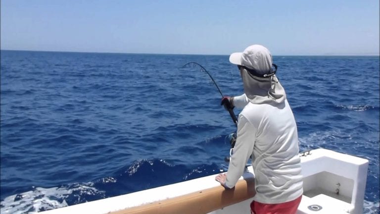 حظر الصيد في البحر الأحمر