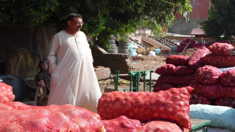 الزراعة تطلب توضيحا سعوديا حول حظر استيراد البصل المصري