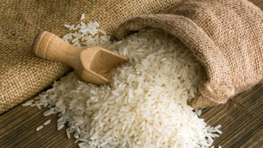 استيراد الأرز