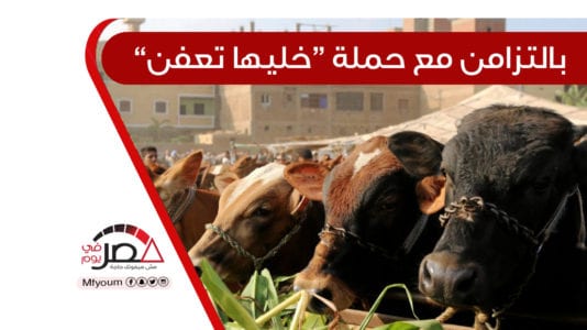أمراض وارتفاع أسعار وركود.. أزمات تضرب أسواق الماشية بمصر