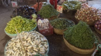 أسعار الخضراوات