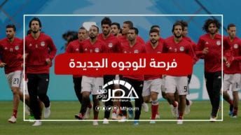 مصر تلتقي النيجر