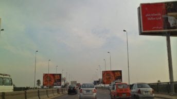 جمل هائج يقطع طريق محور 26 يوليو (فيديو)