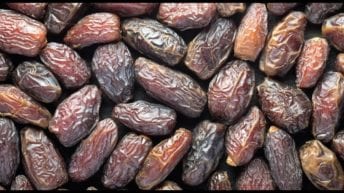 أسعار البلح