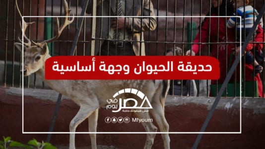 في شم النسيم.. خروج للمتنزهات وتحذير من أكلات