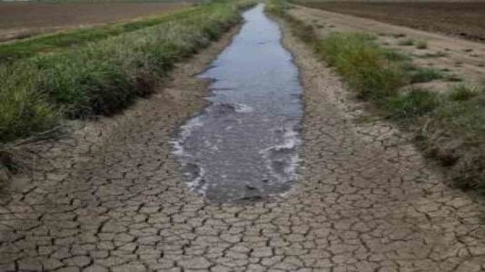 الفاو: انخفاض نصيب الفرد من المياه بمصر 50% في 2030