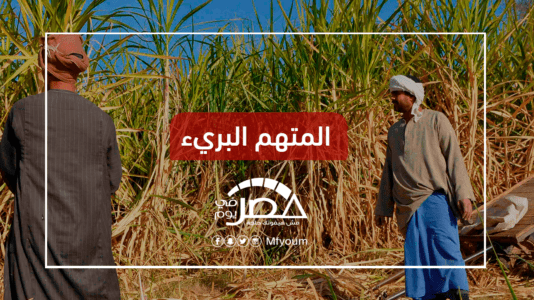 أزمة توريد قصب السكر