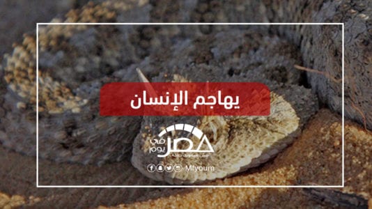 ثعبان الطريشة