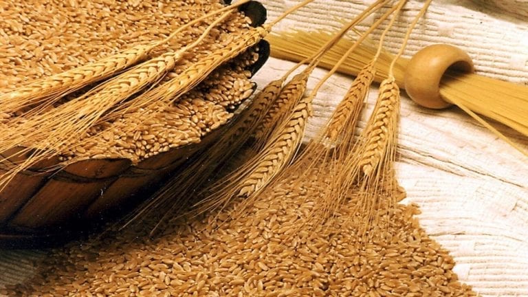 التمثيل التجاري بموسكو يوصي بفحص الواردات المصرية من القمح