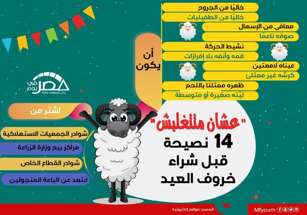 "عشان متتغلبش".. 14 نصيحة قبل شراء خروف العيد (إنفوجراف)