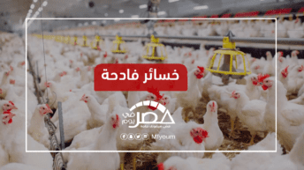 وقف استيراد الدواجن