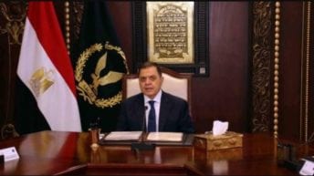 "الداخلية" توافق على إسقاط الجنسية المصرية عن 21 مواطنا