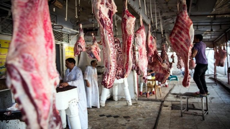 الحصاد: توقعات بارتفاع أسعار اللحوم مجددا.. ومصرع 5 مصريين في حادثة بالكويت