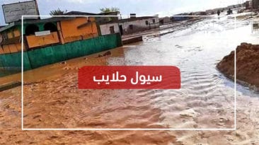 حلايب تستغيث.. السيول تدمر مئات البيوت وتقطع جميع الخدمات (فيديو)