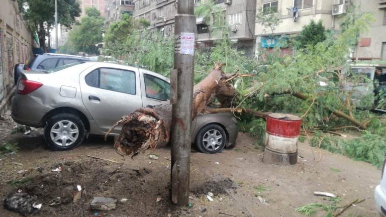 مصرع 4 أشخاص بسبب الأمطار: سقوط أشجار وصعق أعمدة
