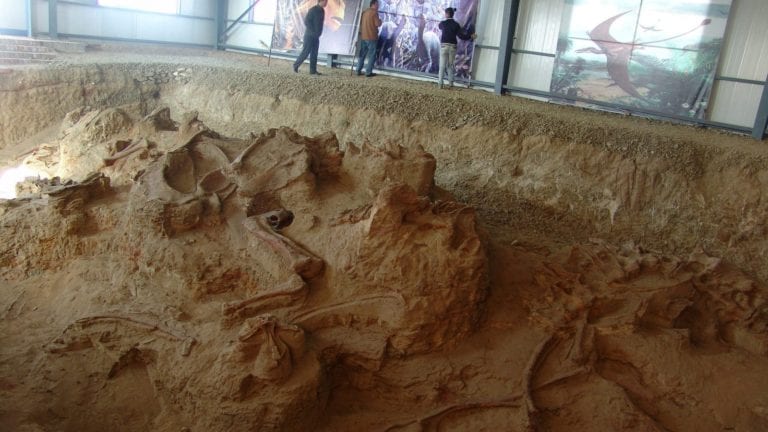 اكتشاف حفرية زاحف بحري عملاق في الوادي الجديد: عمره 70 مليون سنة