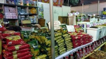 انخفاض أسعار السلع الغذائية