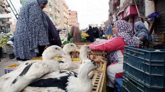 بسبب مصادرة بطة.. إحالة موظف في بلقاس للتحقيق (فيديو)