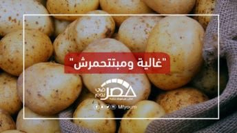 ارتفاع أسعار البطاطس في الأسواق