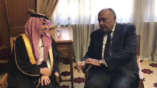 تأسيس مجلس الدول العربية والإفريقية المطلة على البحر الأحمر وخليج عدن