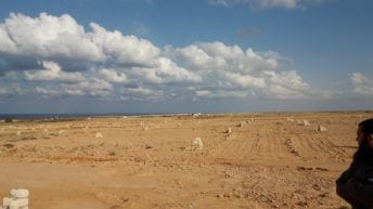 شركة تنمية الريف المصري