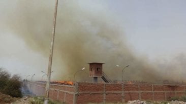 حريق في مصنع سكر إدفو بأسوان: إصابة 4 عمال