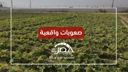 الموافقة على قانون الزراعة العضوية.. ما فرص نجاح المشروع في مصر؟