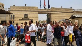 الحصاد: الإفراج عن 541 سجينا.. ومصرع 13 مواطنا في حادثة بصحراوي أسوان