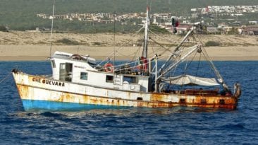 التحالف باليمن: مصرع 3 صيادين مصريين نتيجة انفجار لغم