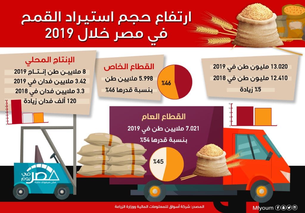 ارتفاع حجم استيراد القمح في مصر خلال 2019 (إنفوجراف)
