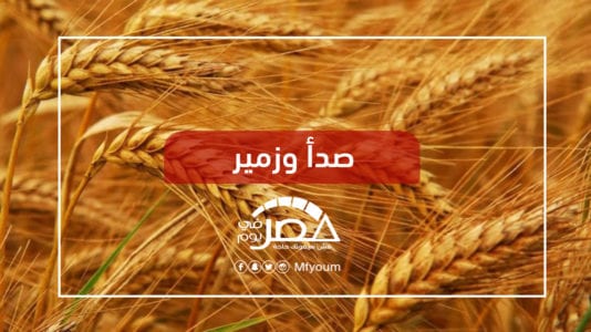 حملة قومية لزيادة إنتاج القمح