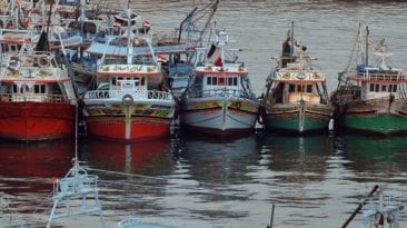 عودة الصيادين المصريين من اليمن