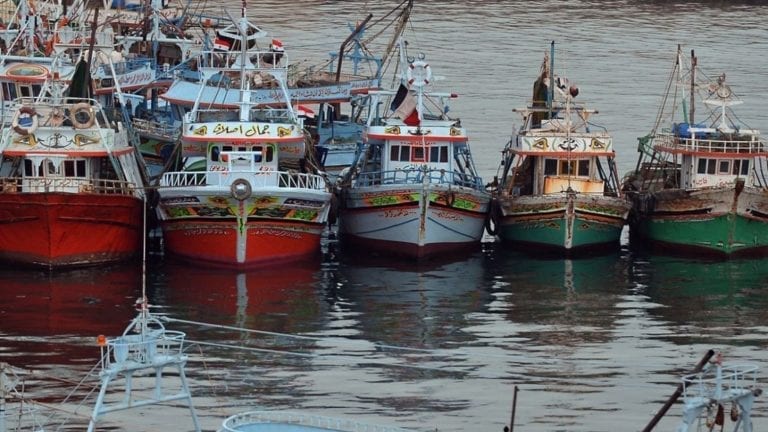 عودة الصيادين المصريين من اليمن
