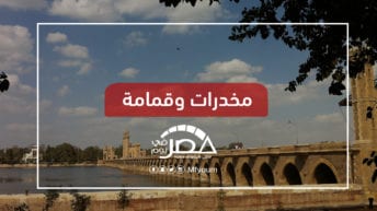 حدائق القناطر الخيرية.. إهمال مستمر وتطوير متوقف