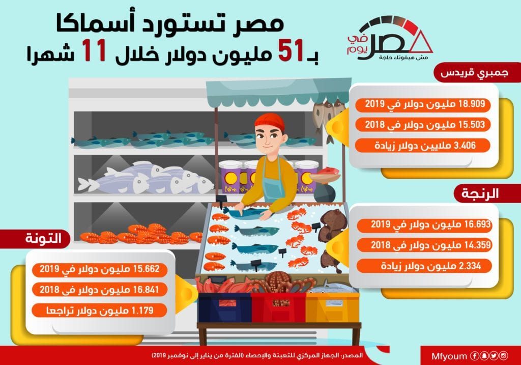 واردات مصر من الأسماك خلال 11 شهرا.. تعرّف (إنفوجراف)