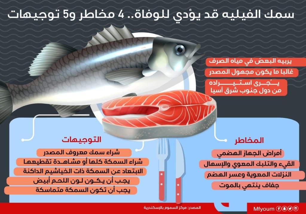 سمك الفيليه قد يؤدي للوفاة.. 4 مخاطر و5 توجيهات (إنفوجراف)